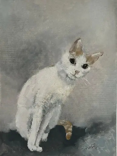 Friend's Cat